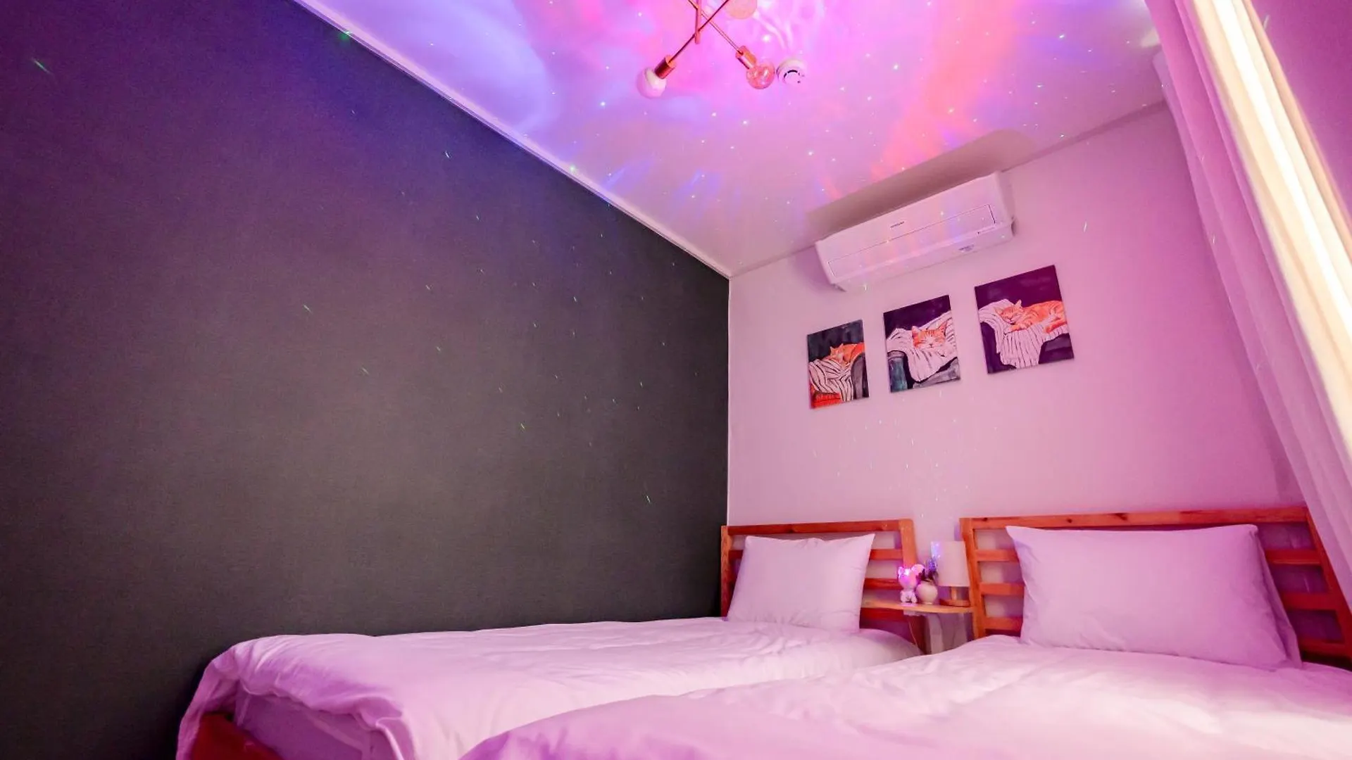Stay Dangil Hime Busan South Korea
